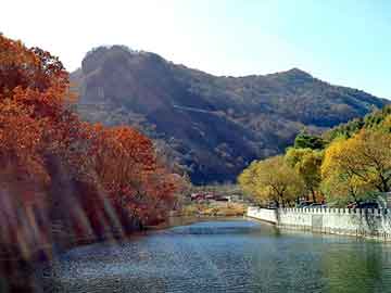 新澳天天开奖资料大全旅游团，电子地中衡